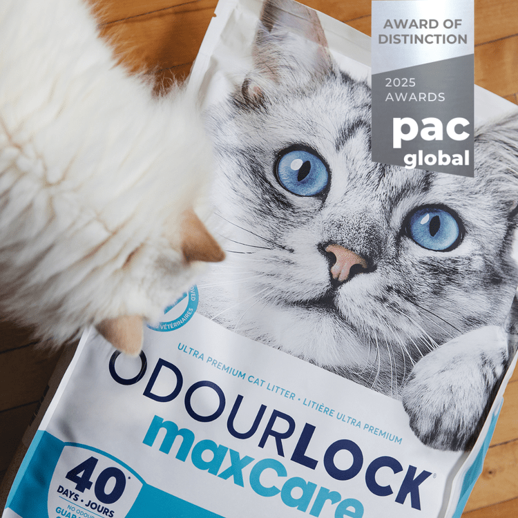 PGA2025 Nominee BM NEW OdourLockCatLitter+(2)