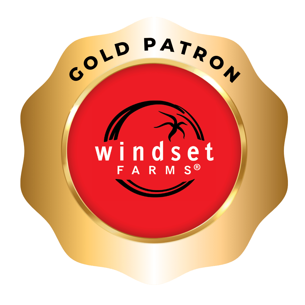 StarshipPatron ABinBev (2)